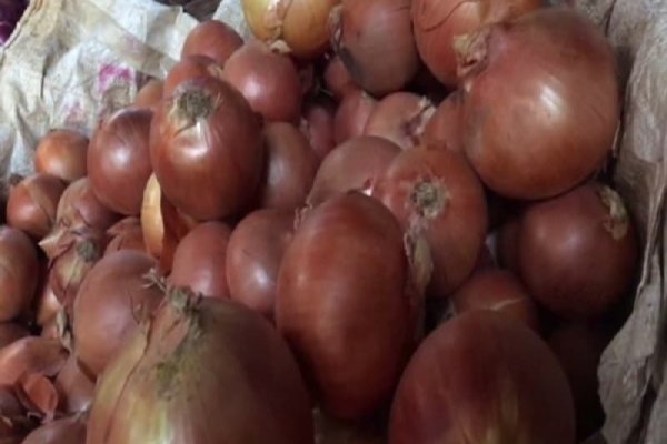Удалился аккаунт кракен